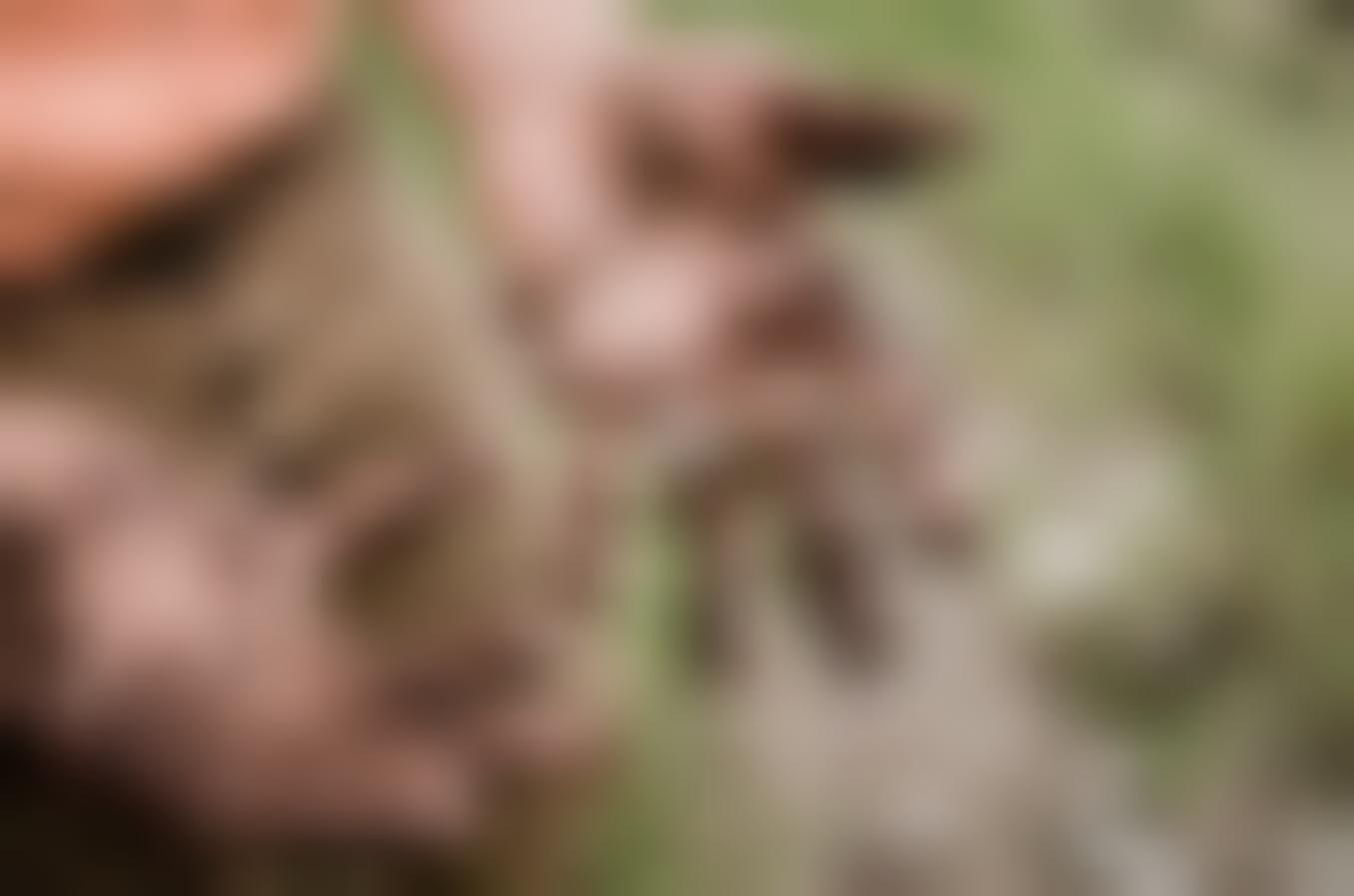 Man’s hands covered in dirt from gardening.