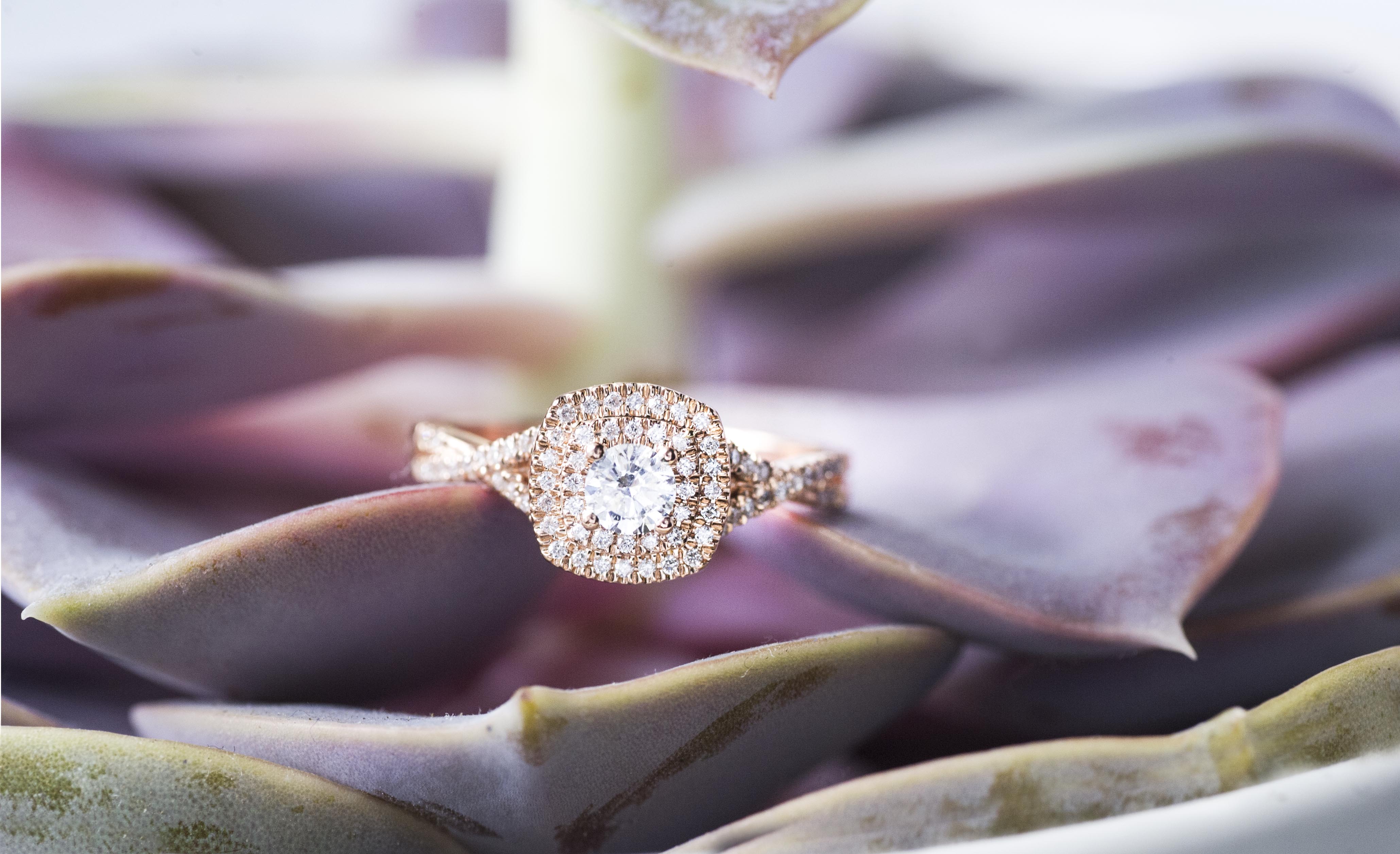 Rose gold twist diamond engagement ring with a diamond halo and diamonds in the band placed on purple succulent.