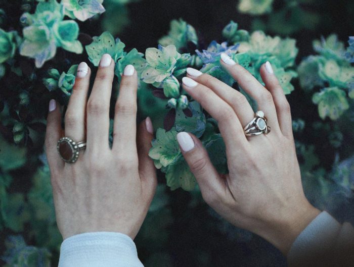 Woman’s hands with multiple rings touching bush.