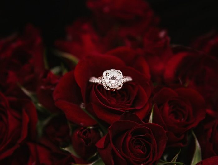 White gold diamond engagement ring placed in a red rose.