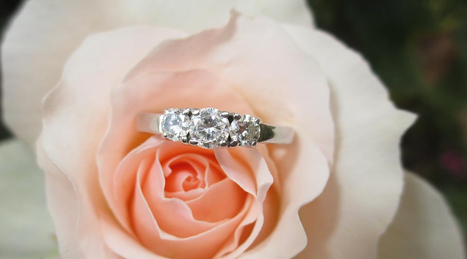 Three-stone diamond engagement ring placed on a pink rose.