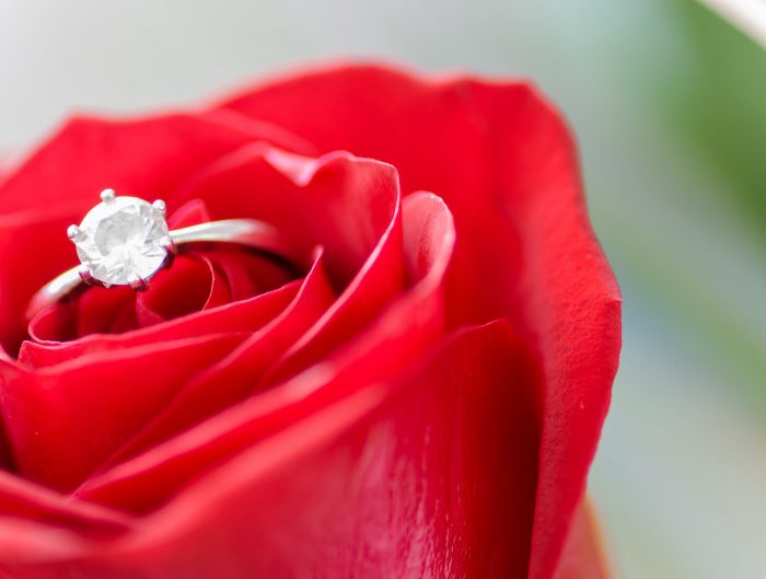 Solitaire engagement ring centered with a diamond placed inside a red rose.