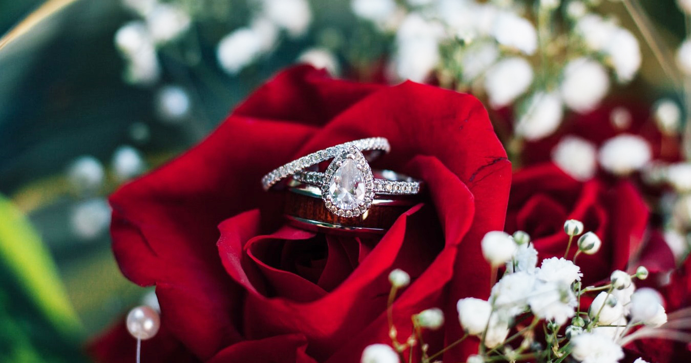 White gold diamond engagement ring and diamond wedding band in center of a red rose.