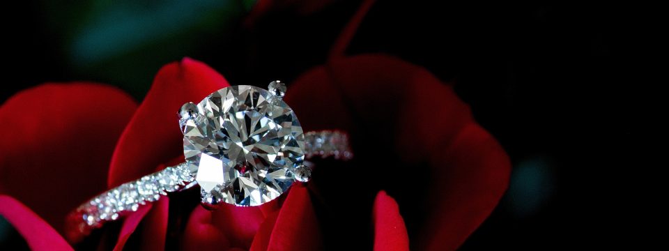 White gold diamond engagement ring placed on a rose.