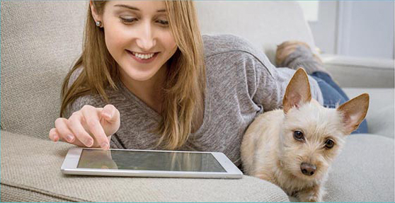 Woman on couch with small dog shown online shopping on a tablet.
