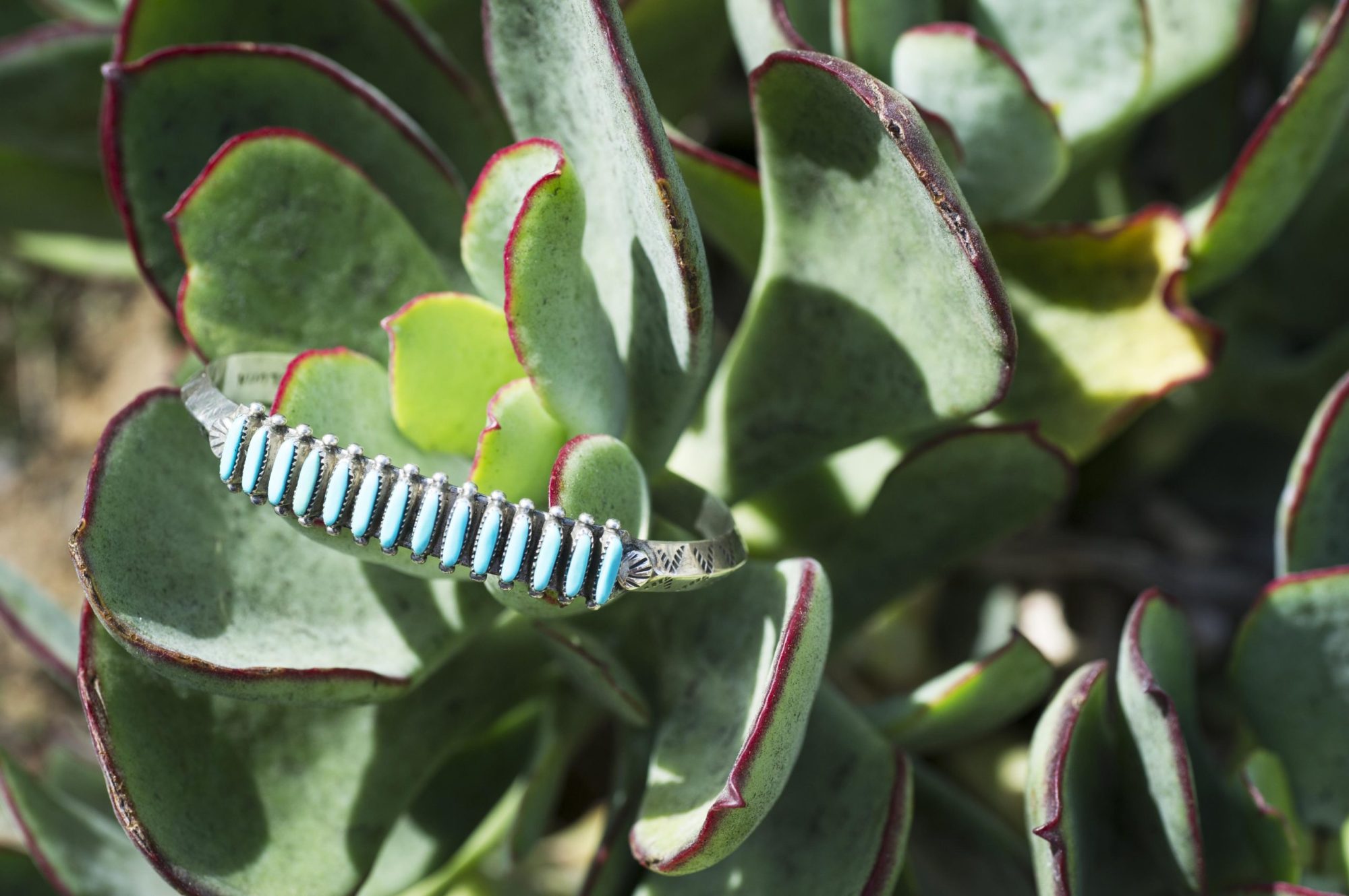 Sterling silver turquoise Native American cuff bracelet placed in plant.