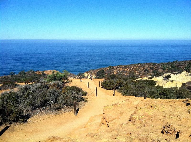 picture of Torrey Pines cliffs overlooking ocean