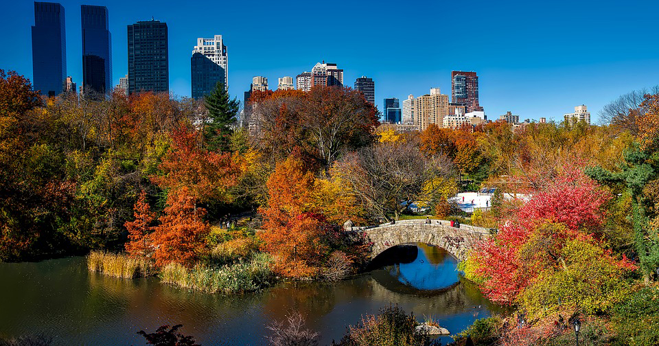 Aerial view of Central Park in New York City during the fall with autumn-colored trees.