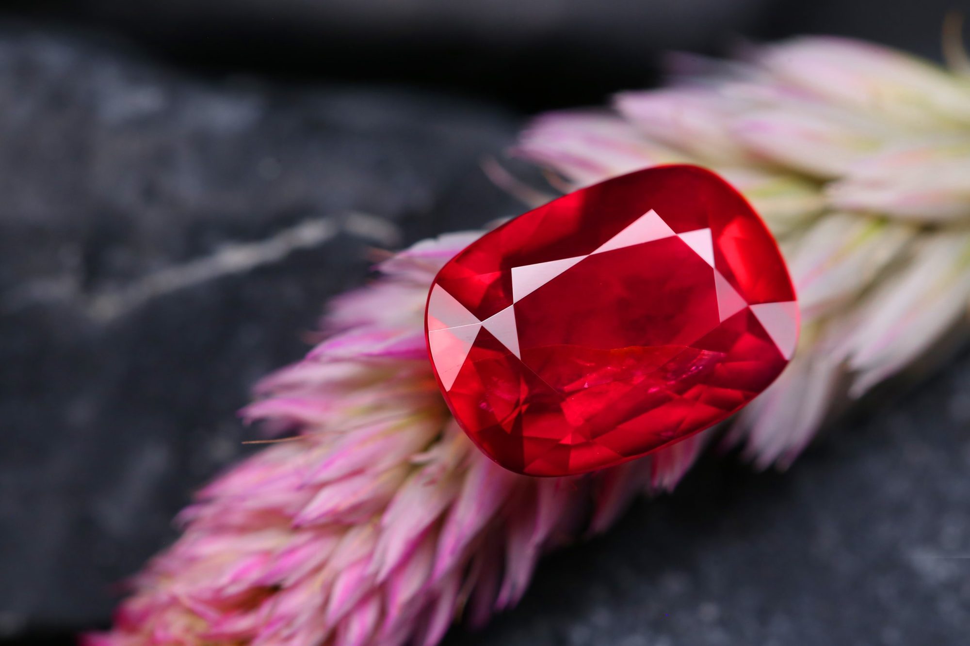 an oval cushion cut ruby sitting on a lavender bud