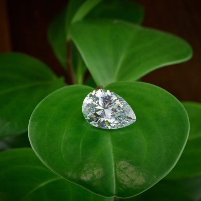 Loose pear cut diamond site on the leaf of a green plant.