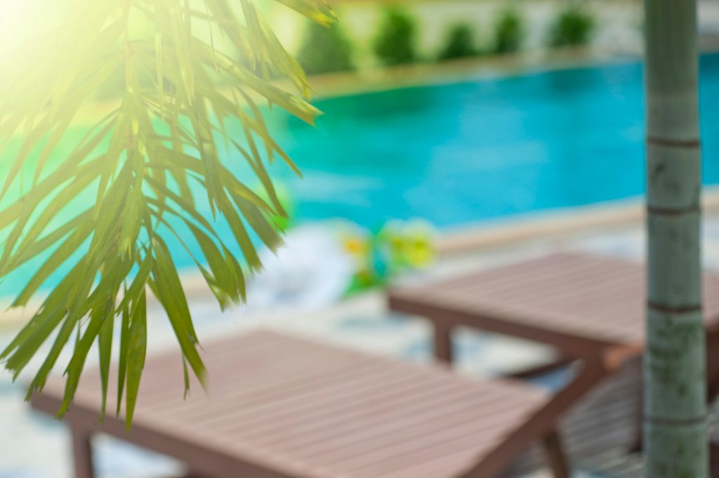 Two empty poolside chairs with surrounding palm trees.